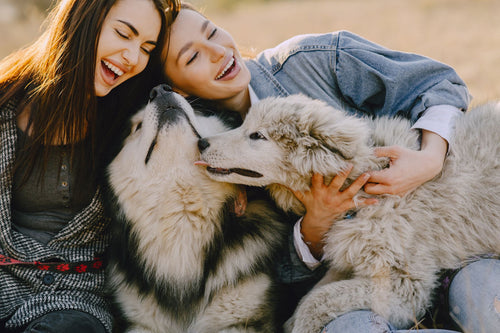 Comment savoir ce que mon chien aime vraiment ?