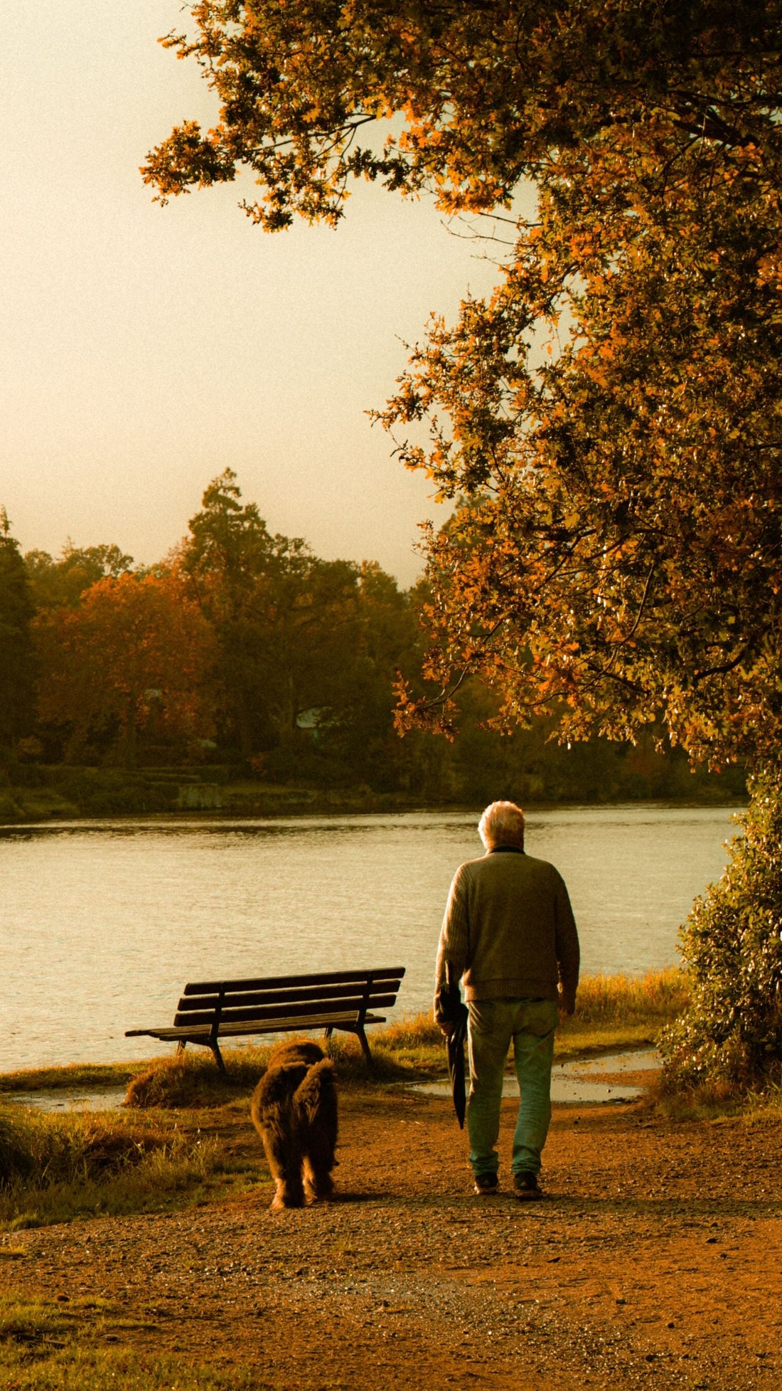 Homme âgé se promenant avec son chien au bord d'un lac