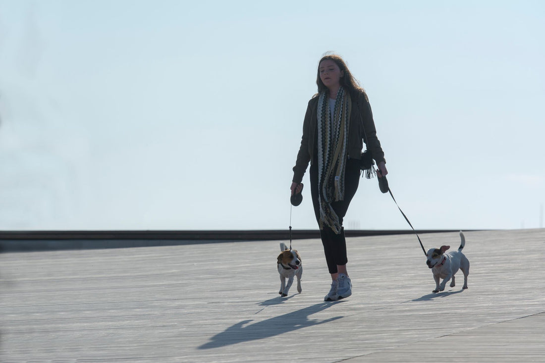 Créer des rituels que votre chien reconnaîtra toute sa vie