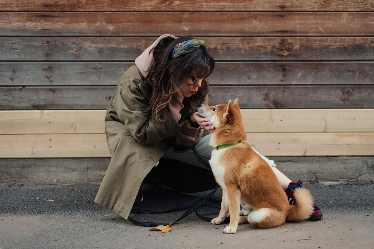 Femme jouant avec son chien en extérieur, moment de complicité