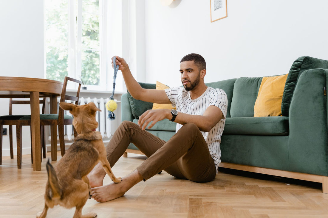Faire de son appartement un endroit intéressant pour lui