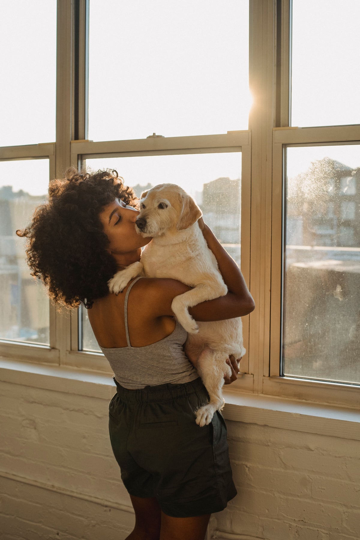 Femme portant son chien dans ses bras près d'une fenêtre