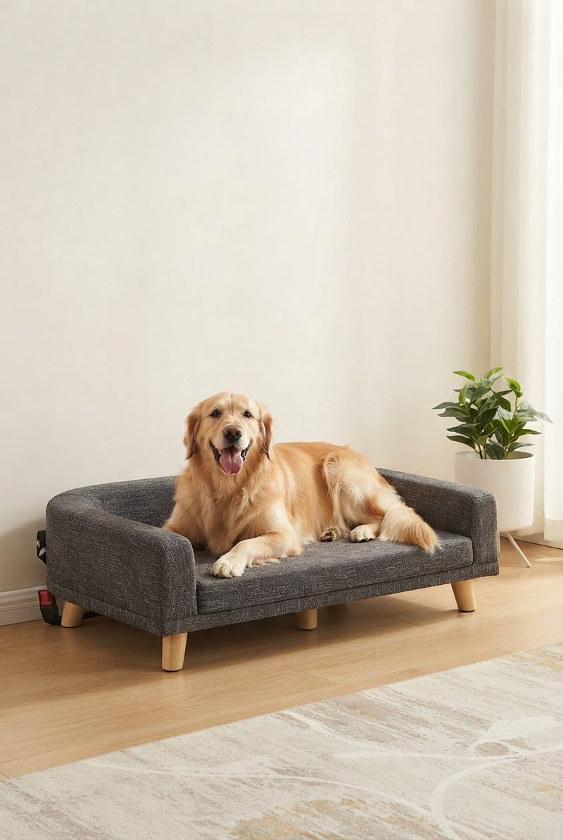Canapé surélevé pour grand chien