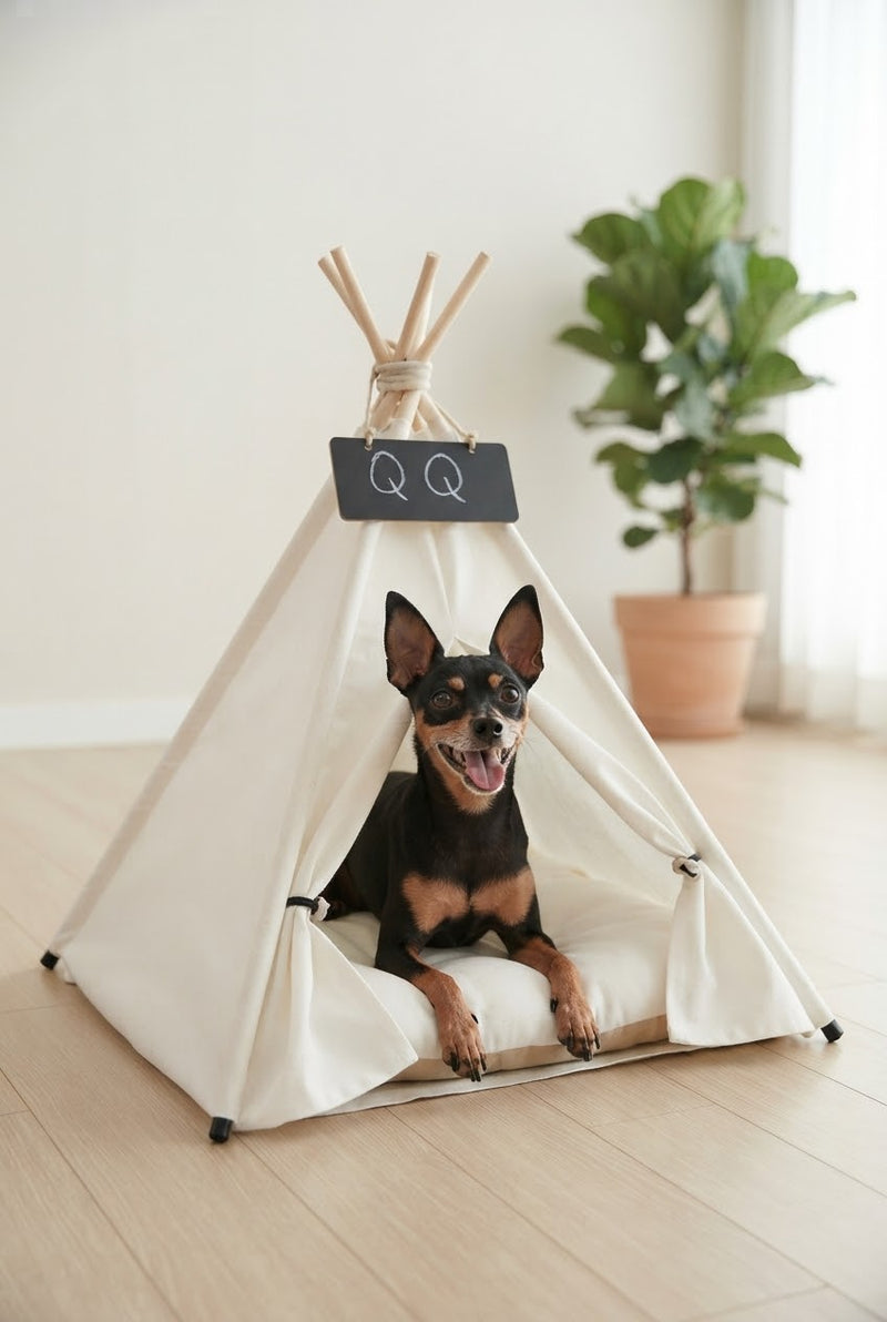 Cabane cosy pour petit chien